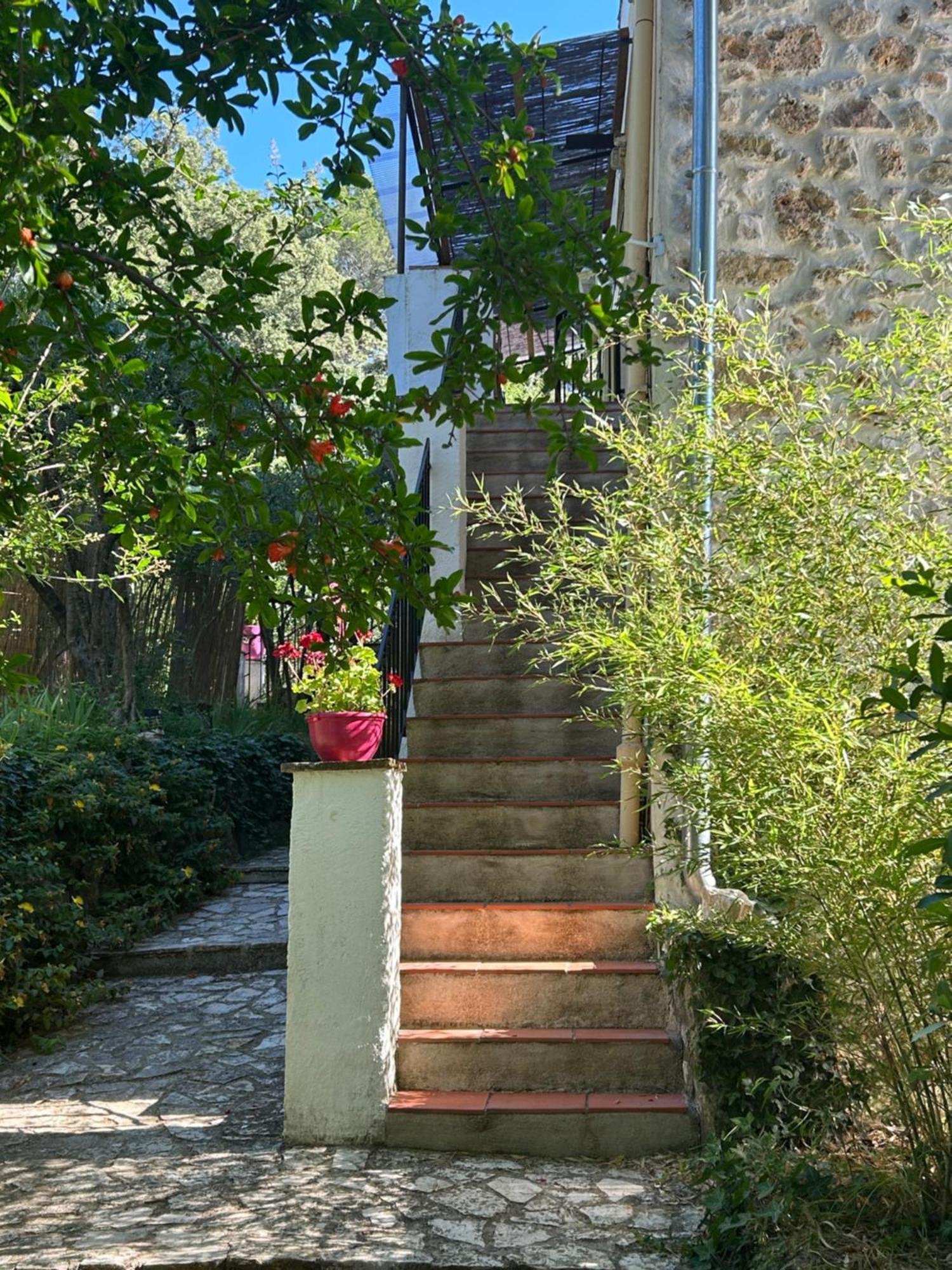 Bastide Des Hesperides Apartamento Flayosc Exterior foto